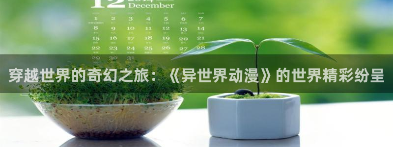 囧次元为什么打不开了