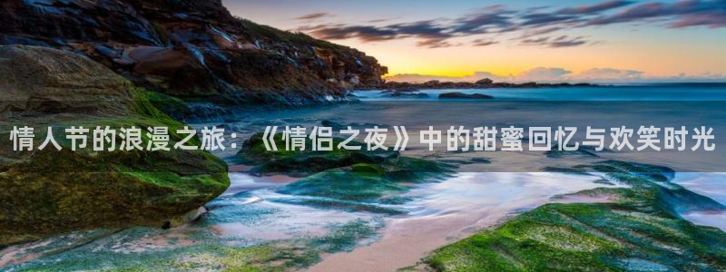 囧次元下载：情人节的浪漫之旅：《情侣之夜》中的甜蜜回忆与欢笑时光