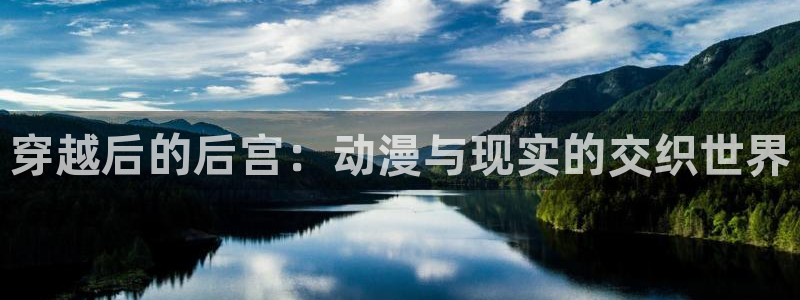 囧次元.：穿越后的后宫：动漫与现实的交织世界