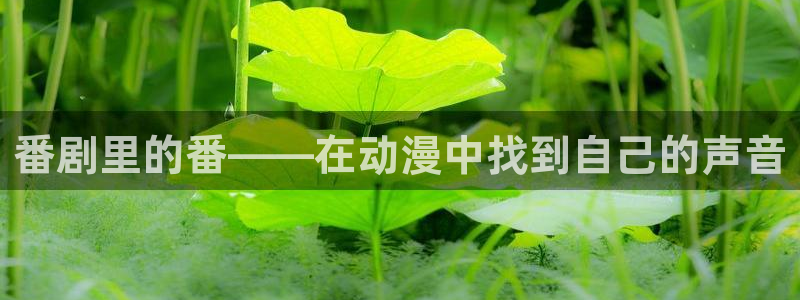 囧次元无：番剧里的番——在动漫中找到自己的声音