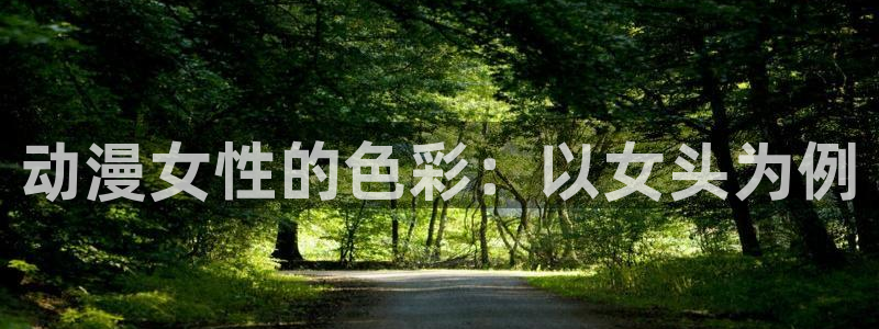 《囧次元》：动漫女性的色彩：以女头为例